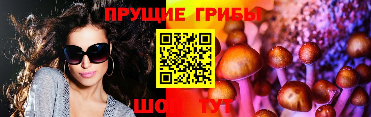 Карпинск  Галлюциногенные грибы Psilocybine cubensis  купить наркотик  Вход с VPN 